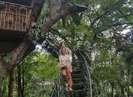 Attraction
