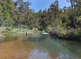 Baw Baw National Park
