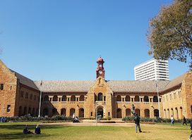 Mapungubwe Collection