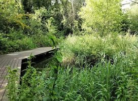 Gunnersbury Triangle, London Wildlife Trust