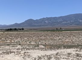 Baker Archaeological Site
