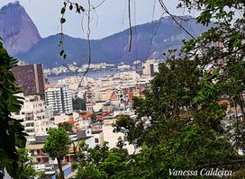 Attraction