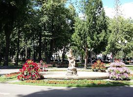 Attraction