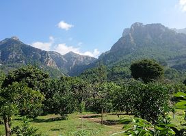 Ecovinyassa