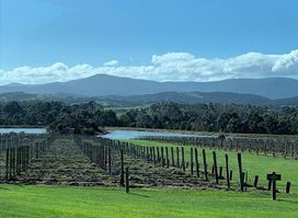 Attraction