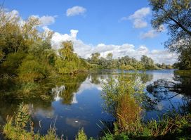 Paxton Pits Nature Reserve