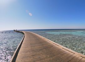 The Jetty