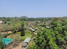 Shri Panch Pandav Caves. Pachmarhi