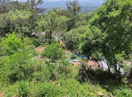 Attraction