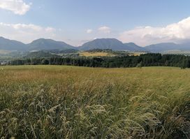 Attraction