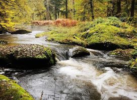 Attraction
