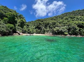Attraction