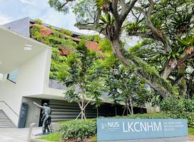 Lee Kong Chian Natural History Museum, Singapore