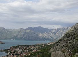 Kotor Cats Museum