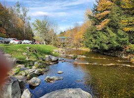 Brewster River Gorge