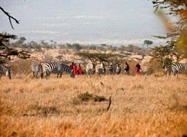 Bigzone Safaris Africa Limited