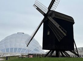 Møllen i botanisk have Århus
