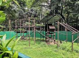 Attraction