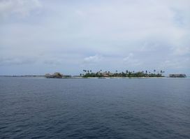 Turtle point