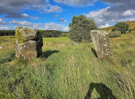 Loupin Stanes