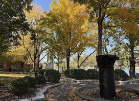 Attraction