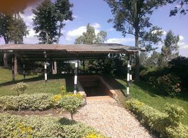 Attraction