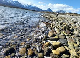 Attraction