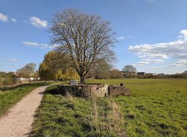 Alney Island Nature Reserve