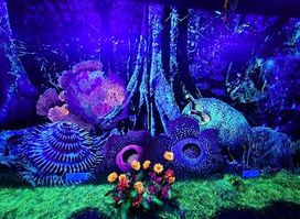 Dark Mansion - 3D Glow In The Dark Museum