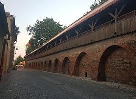 Haller Bastion