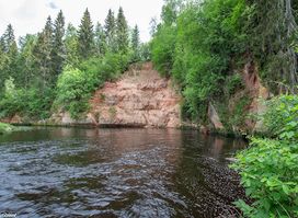 Attraction