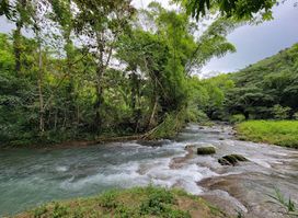 Venture River Falls, Farm Tour & Campsite