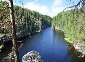 Attraction