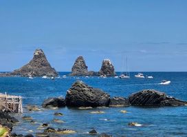 Attraction
