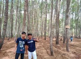 Attraction
