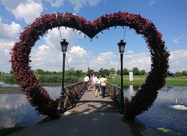 Attraction