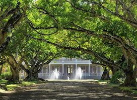 Attraction