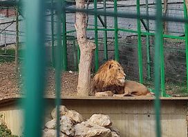 Parku Zoologjik i Tiranës