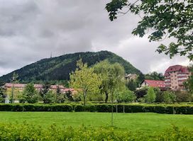 Trandafirilor Park