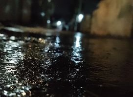 Attraction