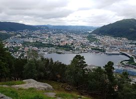 Revurtjernet Viewpoint