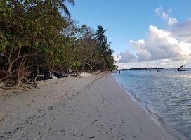Rahdhebai Fandna
