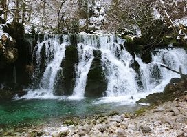Attraction