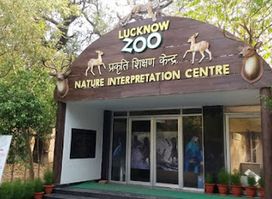 Attraction