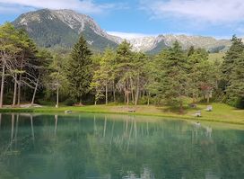 Attraction