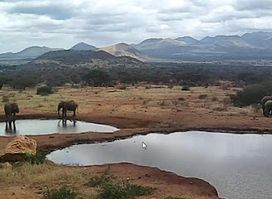 Tsavo National Park