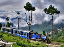 Attraction