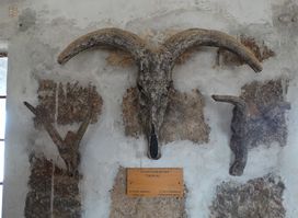 Koobi Fora Museum