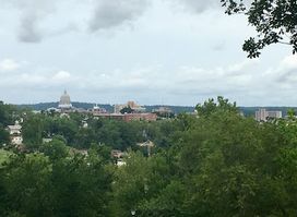 Attraction