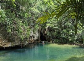 Barton Creek Cave Reserve